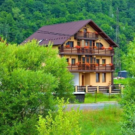 Casa Vadeanu 호텔 Sighetu Marmaţiei 외부 사진