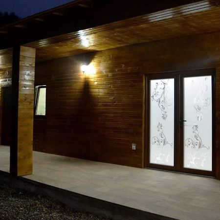 Casa Vadeanu 호텔 Sighetu Marmaţiei 외부 사진