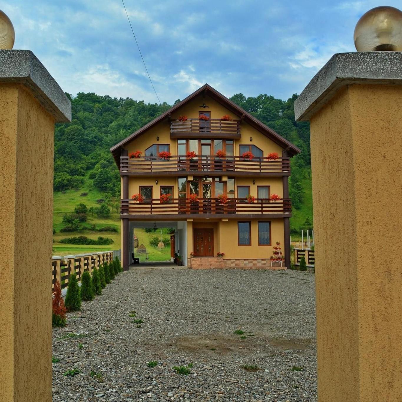 Casa Vadeanu 호텔 Sighetu Marmaţiei 외부 사진